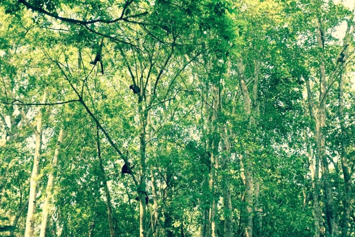 5F8vqiwP6qNZ6acjaG-_4XLe5FuLVMeYm0GSMNgIy4k,iB2F0KSycDaEmWA775NEHN-nxCmiAZxBvSHwjuu5J6w (1)