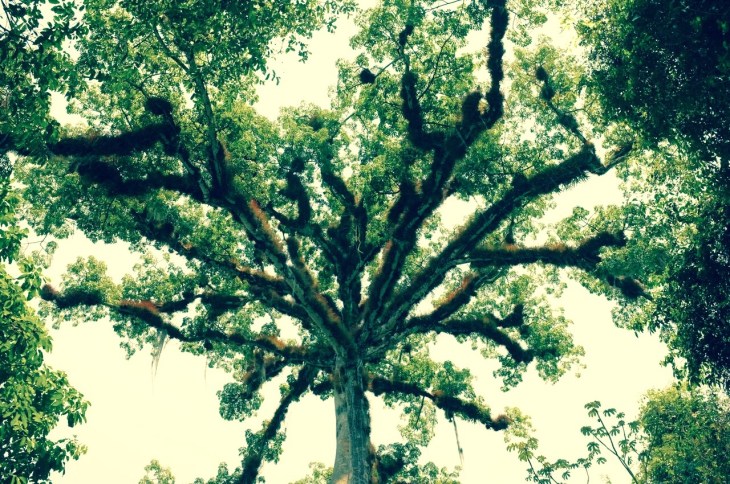 8PD7sr_DbyEBUpivNCO0GdnWgiqQYFmmckeoVFF015w,qglhR7Aimma4cGRriZxPWMhSkpjl1pvJZ3Rq8eVLLKI (1)