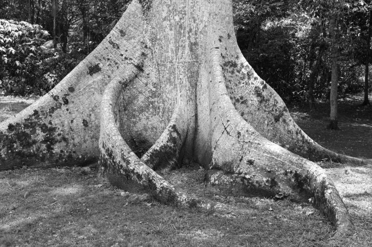 OEaGSjXcHoYjLNAwVNQSIxdgf8vBN9acb6s0p0G0oFA,eHQwwRG2fJfYkKUH6cSenryq2B8pFhS_IzLfI28RkPc (1)